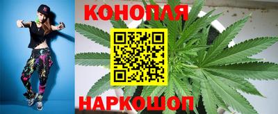 прущие крисы Нарткала