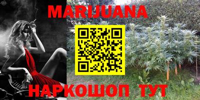 прущие крисы Нарткала