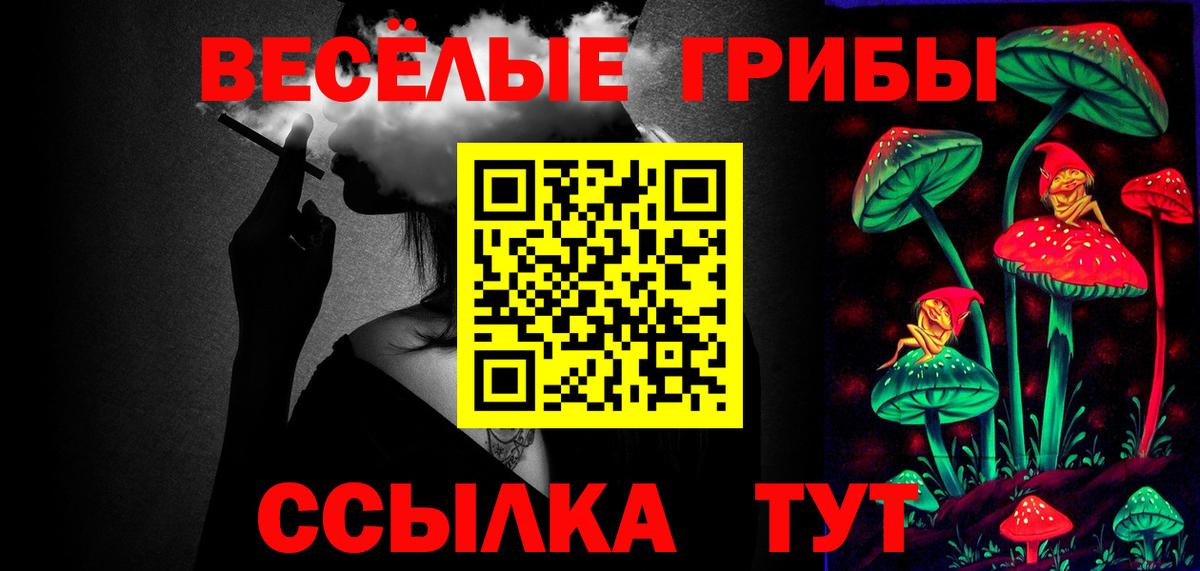Псилоцибиновые грибы GOLDEN TEACHER Губаха