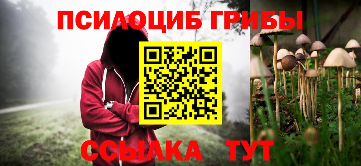 где найти наркотики  Псилоцибиновые грибы GOLDEN TEACHER  Вход с VPN  Губаха 